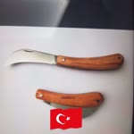Ali