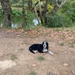 Elcin