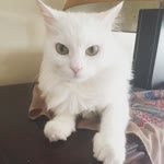 Gizem