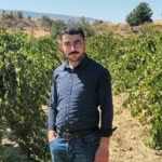 Yücel