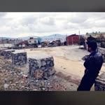 Sedat