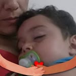 Gül