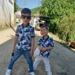 Erdal
