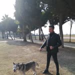 Furkan