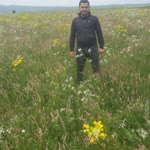 Ferhat