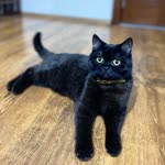 Furkan