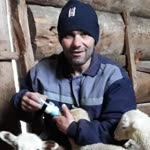 Celalettin