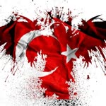 Metin