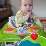 Şahin