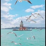 Emel