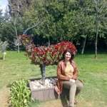 İlknur