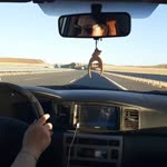 Gül