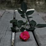 Osman
