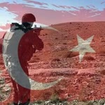 Nabi