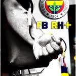 Tolga