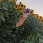 Nazlı