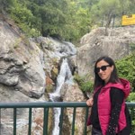 Ayşegül