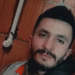 Doğan
