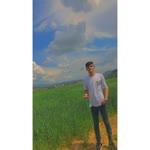 Umut