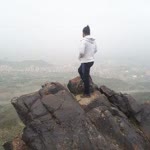 Hamed