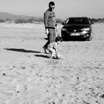 Tolga