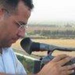 Serdar