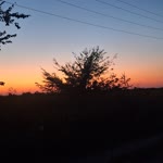 Nurdan