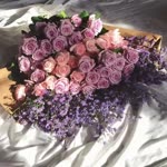 Saynur