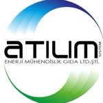 Atılım