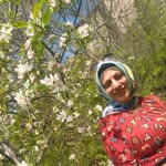 Nilufer
