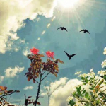 Meryem