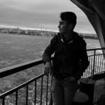 Selim