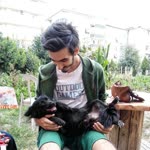 Tolga