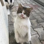 Uğur