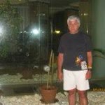Halil