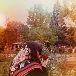 Elif