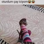 Asya