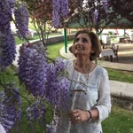 Nurcan