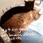 Xzengin