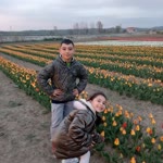 Firdevs