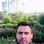 Hayri