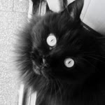 Gizem