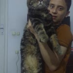 Zeynep
