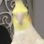 Eyüp