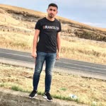 Şahin