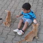 Emrah