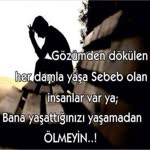 Bulent