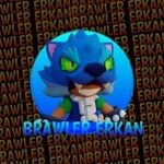 Brawler