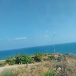 Seda
