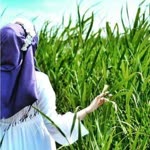 Ravza